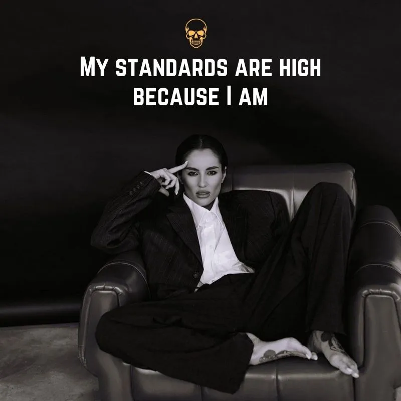 Standards High Level Attitude Status In English 2026 2025 Quotes